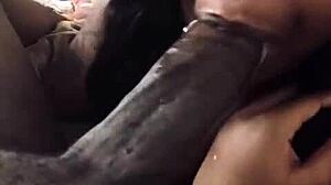 Une fille noire amateur fait une fellation profonde à une grosse bite noire